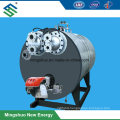 Biogas Steam Boiler for Heating in CHP Project